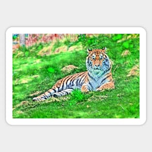 Amur Tiger Sticker